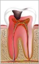 fotolia1