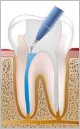 fotolia2