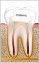 fotolia4